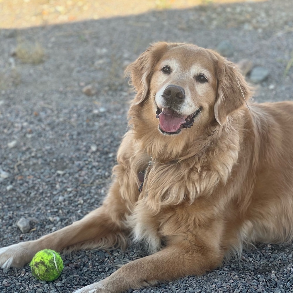 Meet your Posher, Chloe